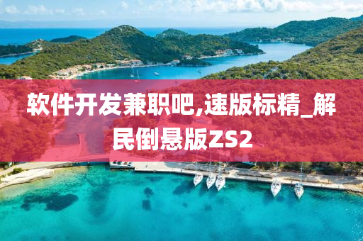 软件开发兼职吧,速版标精_解民倒悬版ZS2