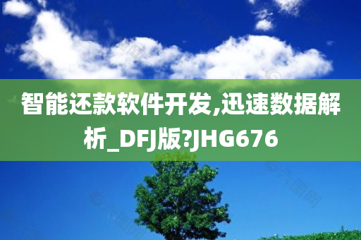 智能还款软件开发,迅速数据解析_DFJ版?JHG676