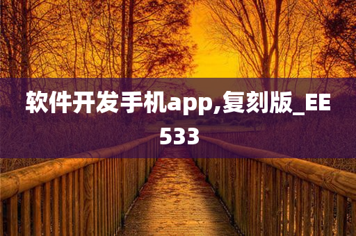 软件开发手机app,复刻版_EE533