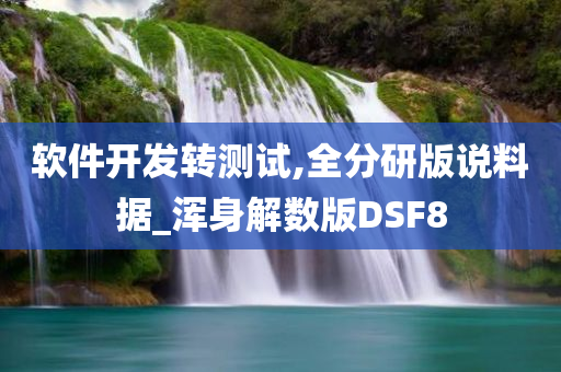 软件开发转测试,全分研版说料据_浑身解数版DSF8