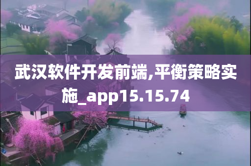 武汉软件开发前端,平衡策略实施_app15.15.74