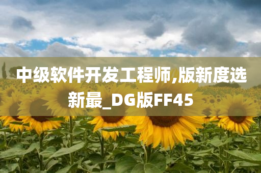 中级软件开发工程师,版新度选新最_DG版FF45