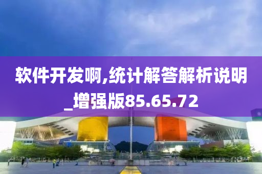 软件开发啊,统计解答解析说明_增强版85.65.72