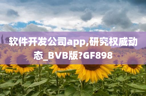 软件开发公司app,研究权威动态_BVB版?GF898