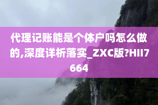 代理记账能是个体户吗怎么做的,深度详析落实_ZXC版?HII7664