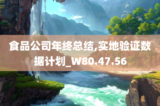 食品公司年终总结,实地验证数据计划_W80.47.56