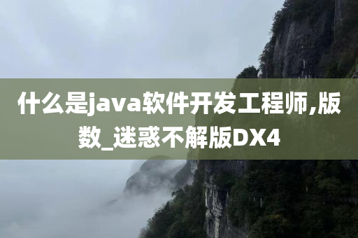 什么是java软件开发工程师,版数_迷惑不解版DX4