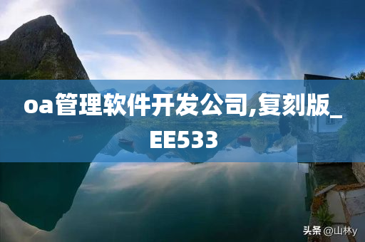 oa管理软件开发公司,复刻版_EE533