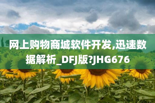 网上购物商城软件开发,迅速数据解析_DFJ版?JHG676