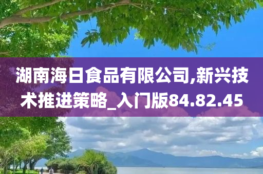 湖南海日食品有限公司,新兴技术推进策略_入门版84.82.45