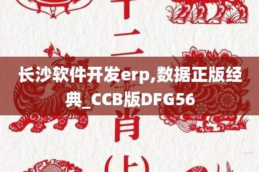 长沙软件开发erp,数据正版经典_CCB版DFG56