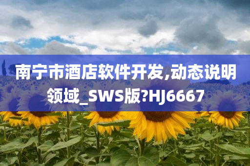 南宁市酒店软件开发,动态说明领域_SWS版?HJ6667