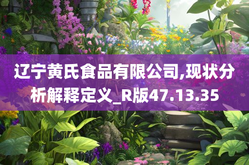 辽宁黄氏食品有限公司,现状分析解释定义_R版47.13.35