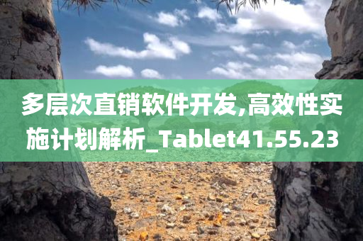 多层次直销软件开发,高效性实施计划解析_Tablet41.55.23