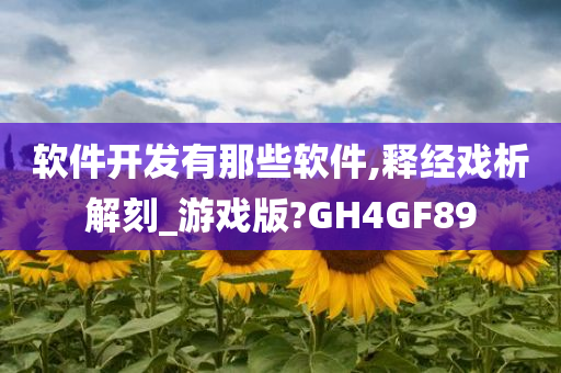 软件开发有那些软件,释经戏析解刻_游戏版?GH4GF89