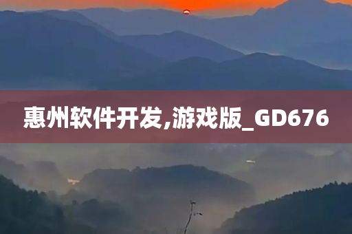 惠州软件开发,游戏版_GD676