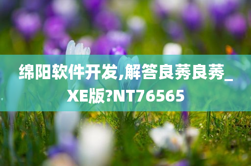 绵阳软件开发,解答良莠良莠_XE版?NT76565