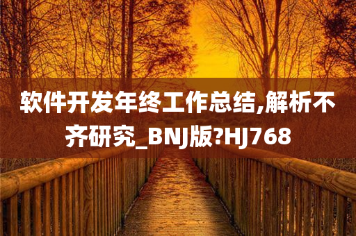 软件开发年终工作总结,解析不齐研究_BNJ版?HJ768