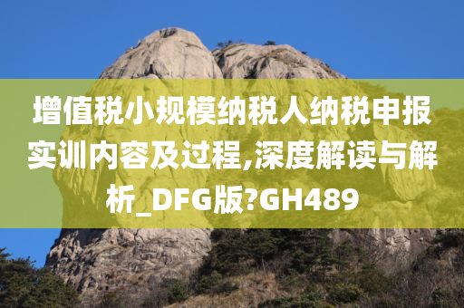 增值税小规模纳税人纳税申报实训内容及过程,深度解读与解析_DFG版?GH489