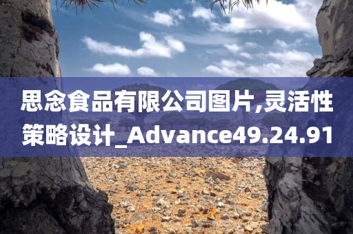 思念食品有限公司图片,灵活性策略设计_Advance49.24.91