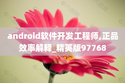 android软件开发工程师,正品效率解释_精英版97768