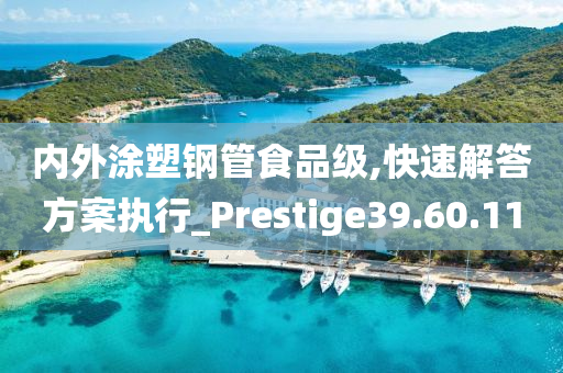 内外涂塑钢管食品级,快速解答方案执行_Prestige39.60.11