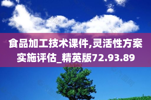 食品加工技术课件,灵活性方案实施评估_精英版72.93.89