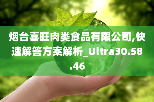 烟台喜旺肉类食品有限公司,快速解答方案解析_Ultra30.58.46