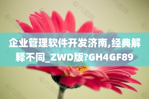 企业管理软件开发济南,经典解释不同_ZWD版?GH4GF89