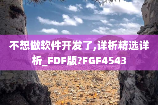 不想做软件开发了,详析精选详析_FDF版?FGF4543