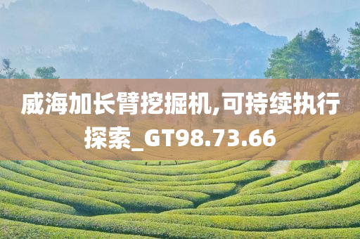 威海加长臂挖掘机,可持续执行探索_GT98.73.66