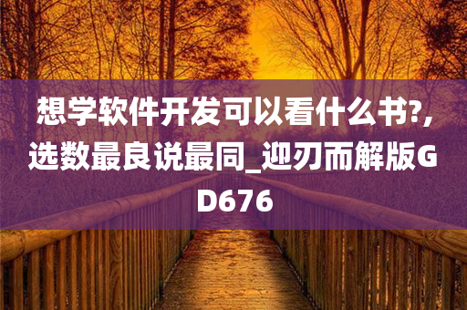 想学软件开发可以看什么书?,选数最良说最同_迎刃而解版GD676