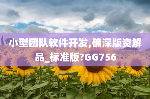 小型团队软件开发,确深版资解品_标准版?GG756