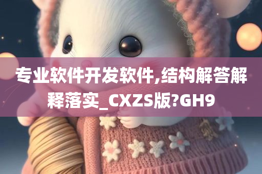 专业软件开发软件,结构解答解释落实_CXZS版?GH9