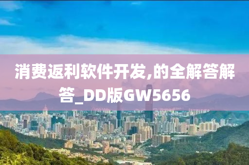 消费返利软件开发,的全解答解答_DD版GW5656