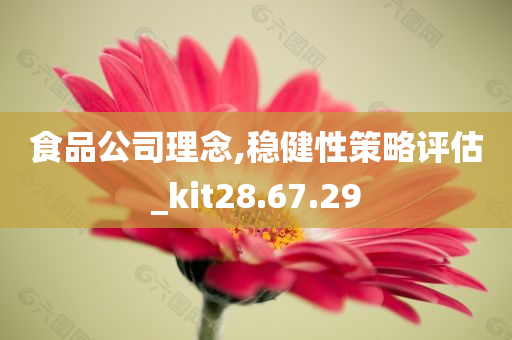 食品公司理念,稳健性策略评估_kit28.67.29