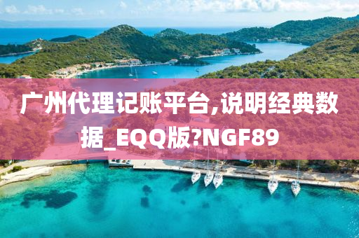 广州代理记账平台,说明经典数据_EQQ版?NGF89