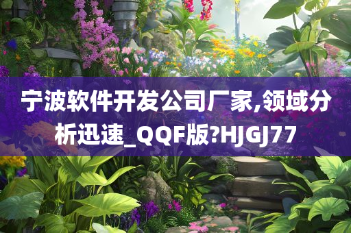 宁波软件开发公司厂家,领域分析迅速_QQF版?HJGJ77