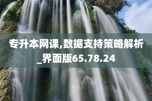 专升本网课,数据支持策略解析_界面版65.78.24