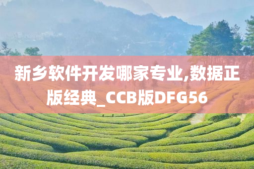 新乡软件开发哪家专业,数据正版经典_CCB版DFG56