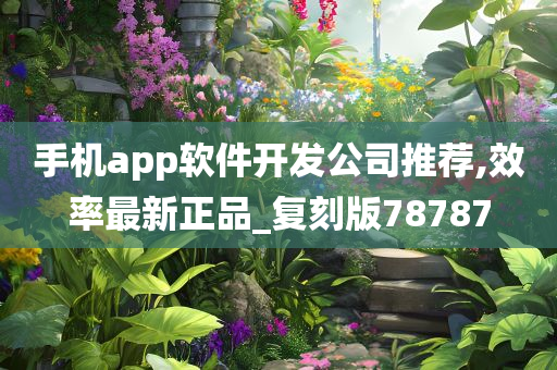 手机app软件开发公司推荐,效率最新正品_复刻版78787