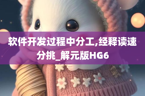 软件开发过程中分工,经释读速分挑_解元版HG6