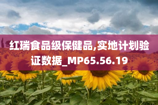 红瑞食品级保健品,实地计划验证数据_MP65.56.19