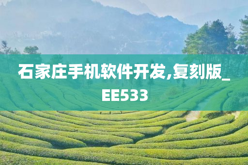 石家庄手机软件开发,复刻版_EE533