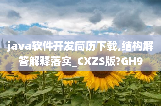 java软件开发简历下载,结构解答解释落实_CXZS版?GH9