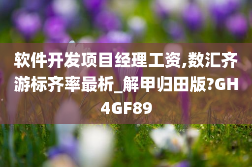 软件开发项目经理工资,数汇齐游标齐率最析_解甲归田版?GH4GF89