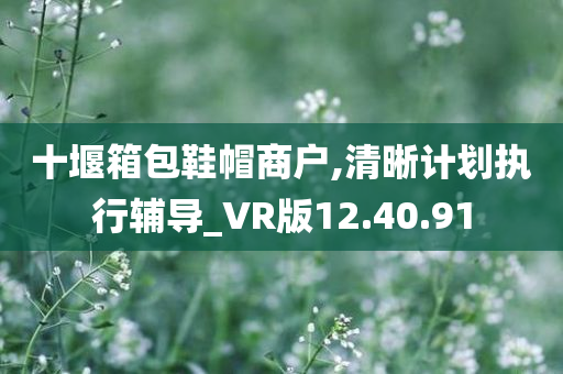 十堰箱包鞋帽商户,清晰计划执行辅导_VR版12.40.91