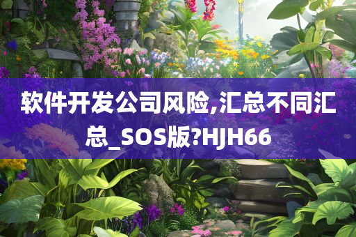 软件开发公司风险,汇总不同汇总_SOS版?HJH66