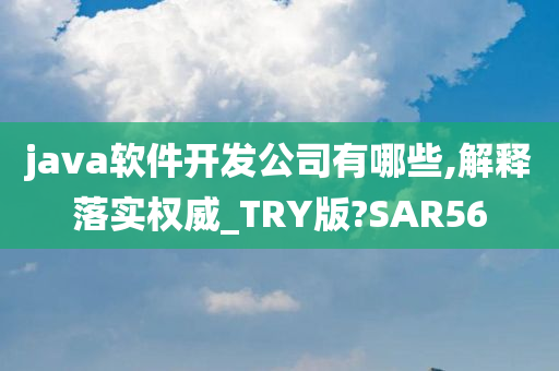 java软件开发公司有哪些,解释落实权威_TRY版?SAR56