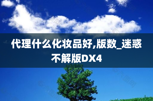 代理什么化妆品好,版数_迷惑不解版DX4